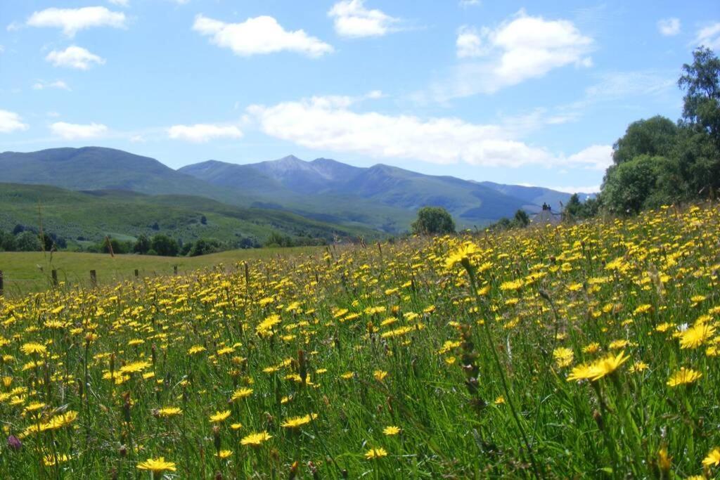 רויברידג' Cul Darach Lodge, Glen Roy Nature Reserve מראה חיצוני תמונה